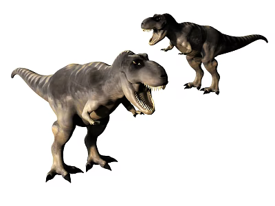 Modern Dinosaur Animal Tyrannosaurus Rex 3d model Modern Dinosaur Animal Tyrannosaurus Rex 3d model