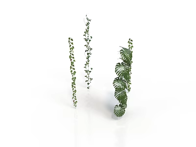 Green Vines With Small Leaves And Large Fern Leaves On White Background 3d model