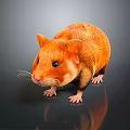 Mouse Wizard Mouse Warlock Cartoon Mouse Animation Mouse Animation Mouse Cartoon Character Cartoon Animal 3d model