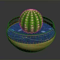 Green Cactus With White Spots Placed In Bowl Shaped Pot With Brown Decoration And Soil