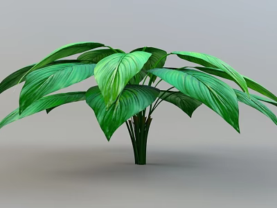 Lush Indoor Green Plant With Large Vibrant Leaves And Healthy Foliage 3d model