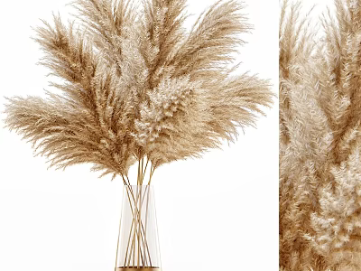 Natural Dried Pampas Grass Decorative Ornament Set With Glass Vase For Home Decor 3d model