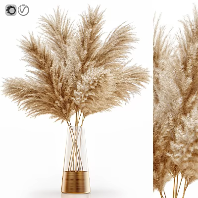 Natural Dried Pampas Grass Decorative Ornament Set With Glass Vase For Home Decor 3d model