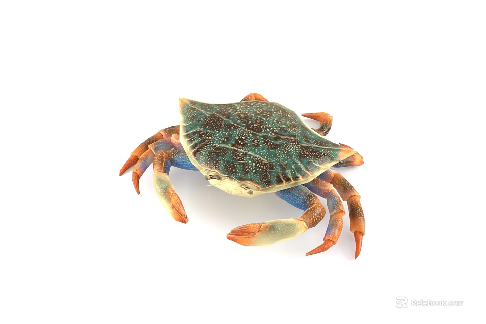 Colorful Aquatic Crab With Blue Green Shell And Orange Colored Claws 3d model 