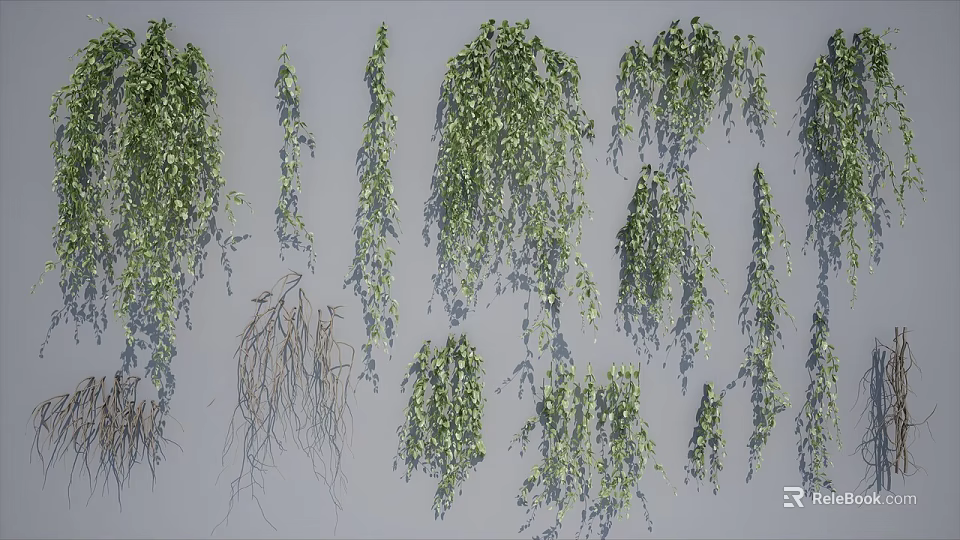 Green Hanging Vines With Lush Leaves And Various Decorative Design Styles 3d model 