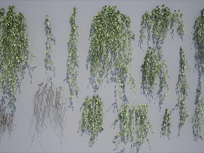 Green Hanging Vines With Lush Leaves And Various Decorative Design Styles 3d model