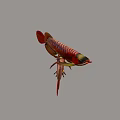 Two Red and Gold Arowana Aquatic Animals With Vibrant Scales And Colorful Fins
