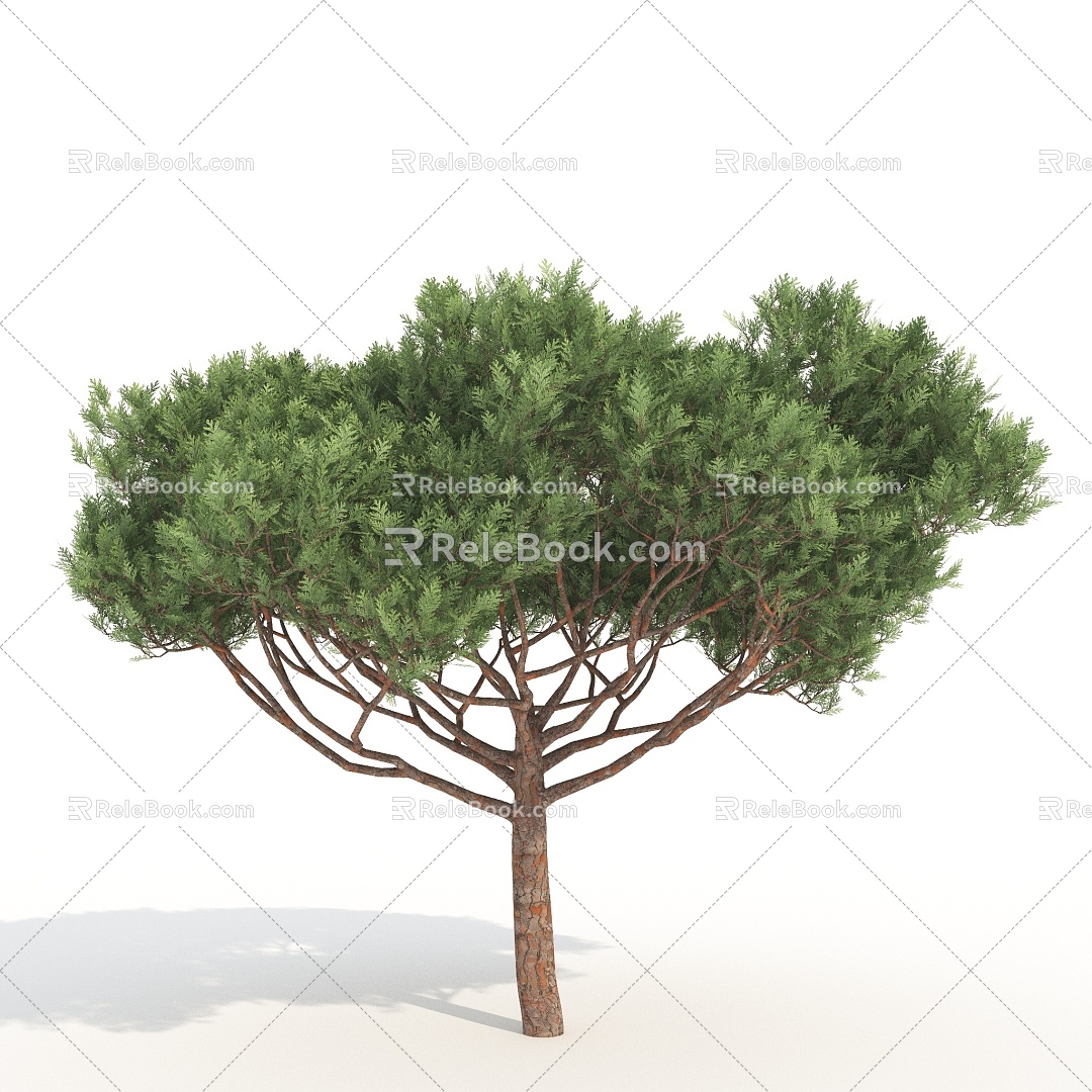 plants green trees big trees landscape trees 3d model