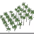 Multiple Green Trees Neatly Arranged With Shadows On Dark Background