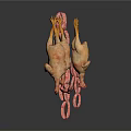 Fresh String of Sausages and Hanging Raw Chicken as Culinary Ingredients on White Background