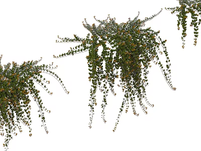 Lush Hanging Vines With Green Leaves And Trailing Branches For Natural Decoration 3d model