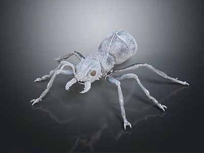 Flying Ant 3D Render With Gray Exoskeleton Long Legs And Reflection On Dark Surface 3d model