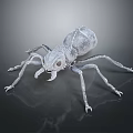 Flying Ant 3D Render With Gray Exoskeleton Long Legs And Reflection On Dark Surface 3d model