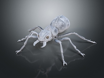 Modern Beetle Scarab 3d model