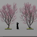 Delicious Sakura Desserts Under Blossoming Trees With Silhouette Person Enjoying