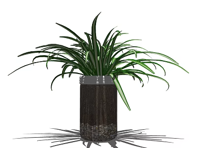 Lush Bonsai Potted Plant With Green Long Leaves And Wooden Pot Base 3d model