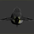 Penguin With Yellow Neck And Black White Feathers Spread Wings On Gray Background