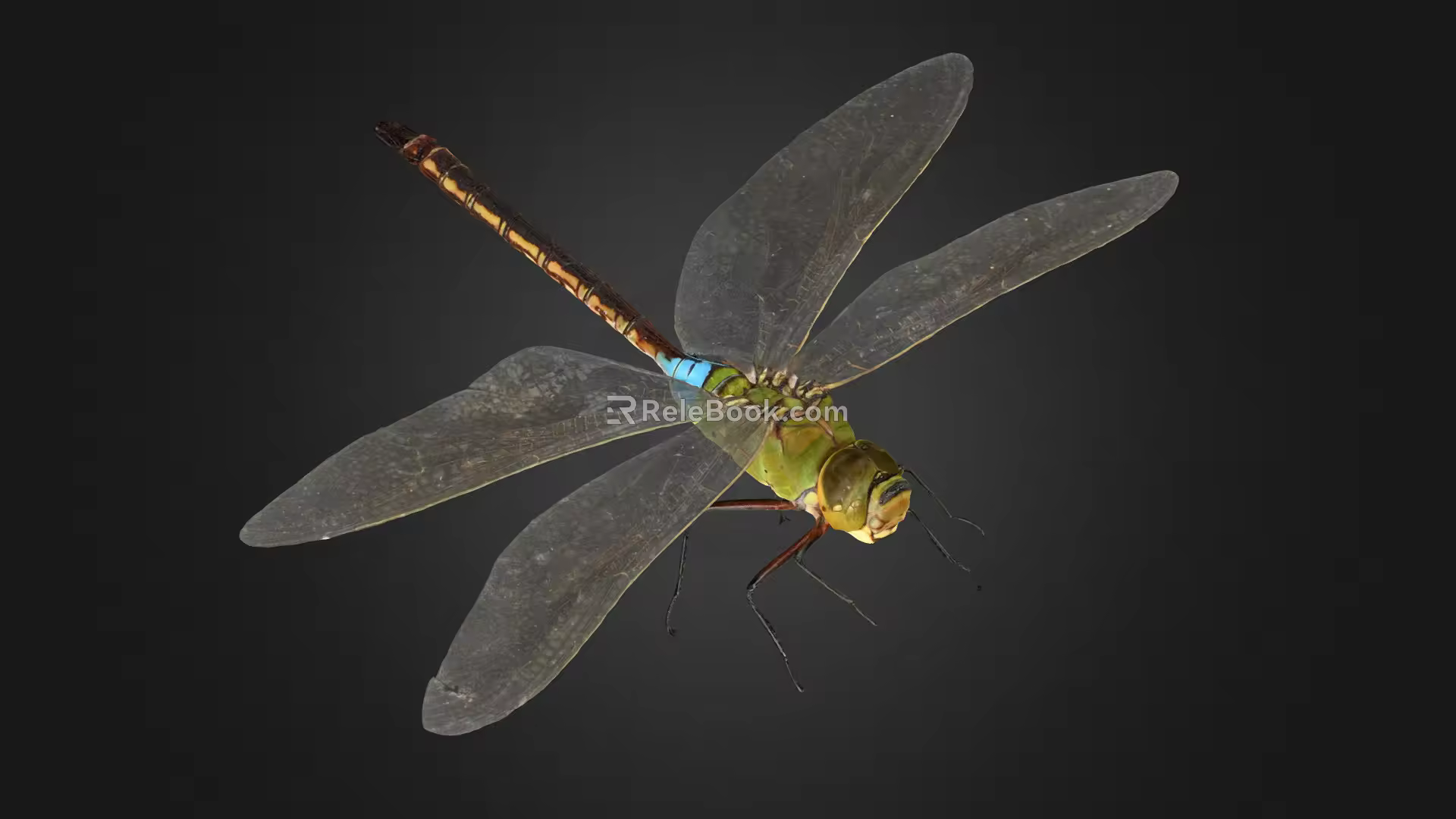 modern dragonfly 3d model