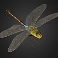 modern dragonfly 3d model