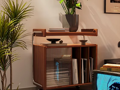 Modern Wooden Entryway Side Cabinet With Tray Books And Green Plant Decor 3d model