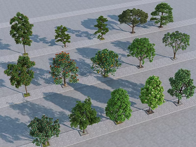 Various Arbor Trees Neatly Arranged on Slate Pavement with Diverse Crown Shapes and Colors 3d model