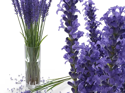 Lavender Flower Bouquet Decorative Ornament Set With Glass Vase And Scattered Petals 3d model