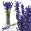 Lavender Flower Bouquet Decorative Ornament Set With Glass Vase And Scattered Petals