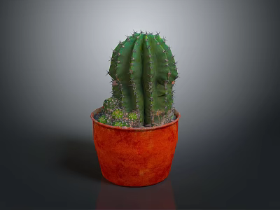 Green Spiky Cactus Plant Growing in Red Pot on Gray Background 3d model