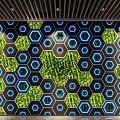 Living Plant Wall With Hexagonal Blue Frames And Geometric Greenery In Indoor Space 3d model