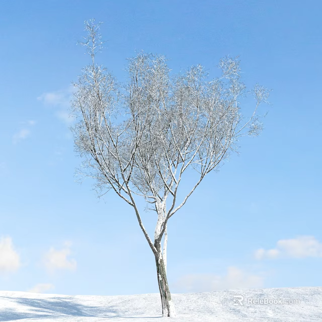 Tall Birch Tree With White Trunk And Bare Branches Against Blue Sky And White Clouds 3d model 