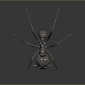 Detailed Metallic Ant 3D Model With Shiny Surface And Long Legs On Dark Background