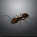 Realistic 3D Character Model Of Brown Ant With Detailed Insect Features