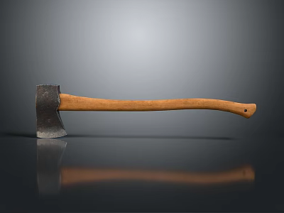 Vintage Axe With Metal Head And Wooden Handle On Smooth Surface With Reflection 3d model