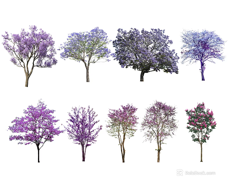 Colorful Flowering Arbor Trees With Various Purple Pink Blue Blooms For Garden Landscape 3d model 