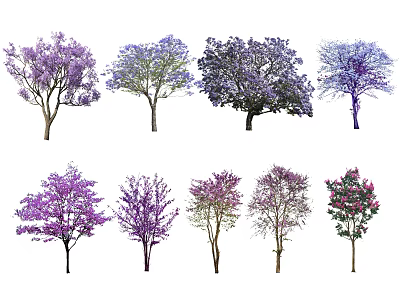 Colorful Flowering Arbor Trees With Various Purple Pink Blue Blooms For Garden Landscape 3d model