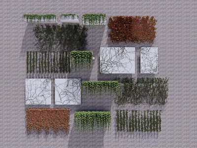 Diverse Colorful Vines in Various Shapes for Wall Decoration and Greenery Design 3d model