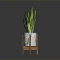 Green Variegated Leaf Plant In White Pot With Colorful Patterns On Wooden Stand