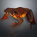 Vibrant Brown And Orange Spotted Frog Showcasing Detailed Skin Texture On Dark Background