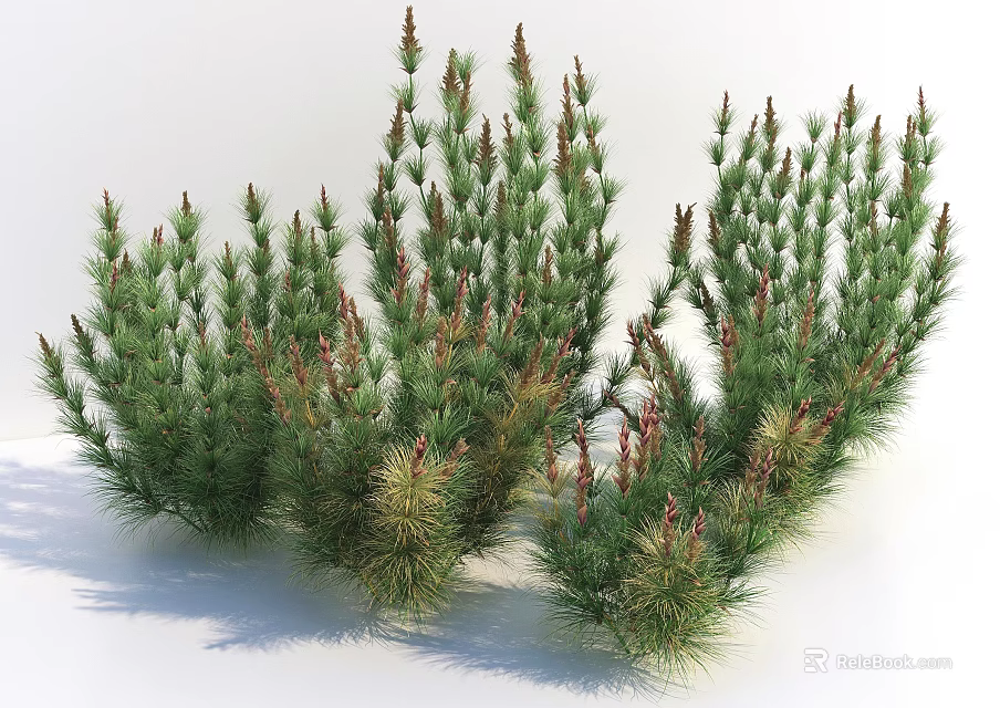 Green Clustered Plants With Red Spikes For Garden Decoration And Landscaping 3d model 