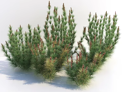 Green Clustered Plants With Red Spikes For Garden Decoration And Landscaping 3d model