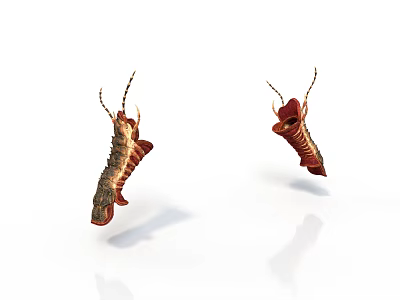 Biological Organ and Hair Structure with Red Brown Hanging Antennae Body Parts 3d model