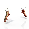 Biological Organ and Hair Structure with Red Brown Hanging Antennae Body Parts
