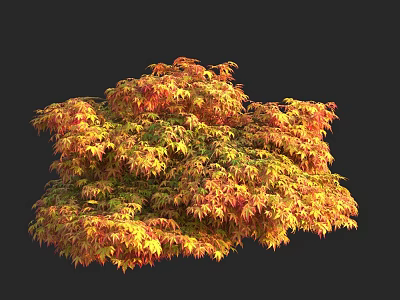 Vibrant Autumn Tree With Red And Yellow Leaves And Lush Canopy 3d model
