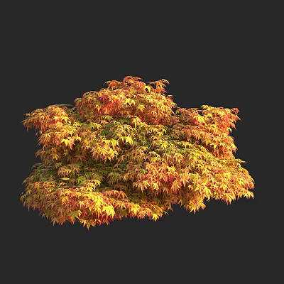 Vibrant Autumn Tree With Red And Yellow Leaves And Lush Canopy 3d model