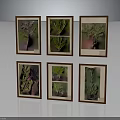 Six Wooden Framed Plant Photography Prints Arranged in Grid as Wall Art
