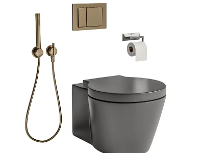 Modern Grey Toilet With Gold Shower Head Toilet Paper Holder And Switch Panel 3d model