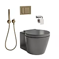 Modern Grey Toilet With Gold Shower Head Toilet Paper Holder And Switch Panel