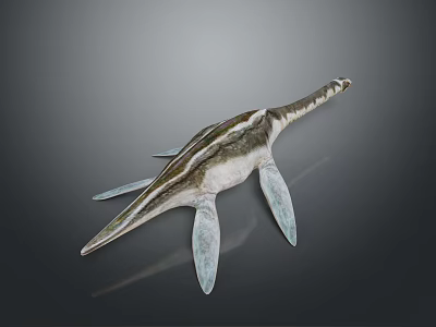 Realistic Marine Reptile Model With Long Beak Flipper Limbs And Gray White Green Stripes 3d model