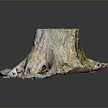 Tree Stump With Textured Bark Spreading Roots And Moss Covered Base 3d model