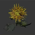 Beautiful Yellow Chrysanthemum with Green Stem and Leaves on Gray Background